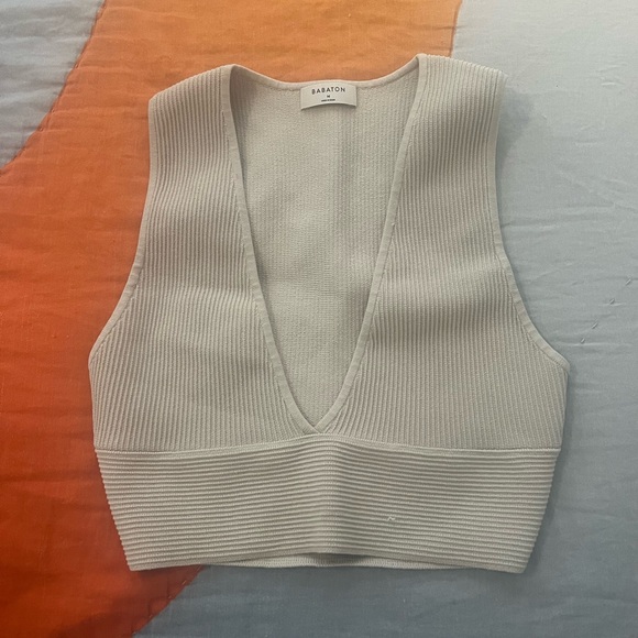 Aritzia Babaton Deep V Tank - Picture 2 of 2